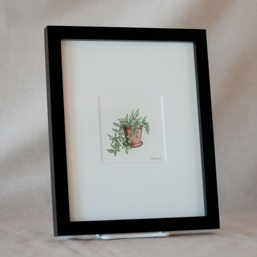 "Pothos" Plant Watercolour Original Artwork